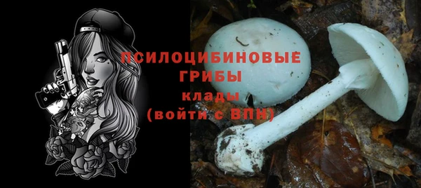 дмт Няндома