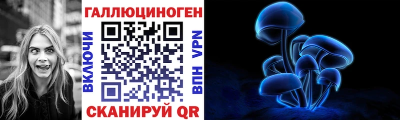 Галлюциногенные грибы Psilocybine cubensis  Купить где  Шиханы 