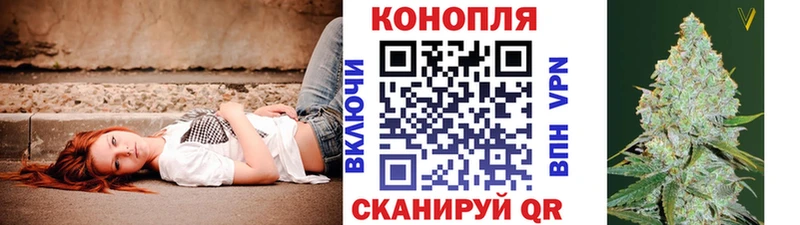 Бошки Шишки OG Kush Шиханы